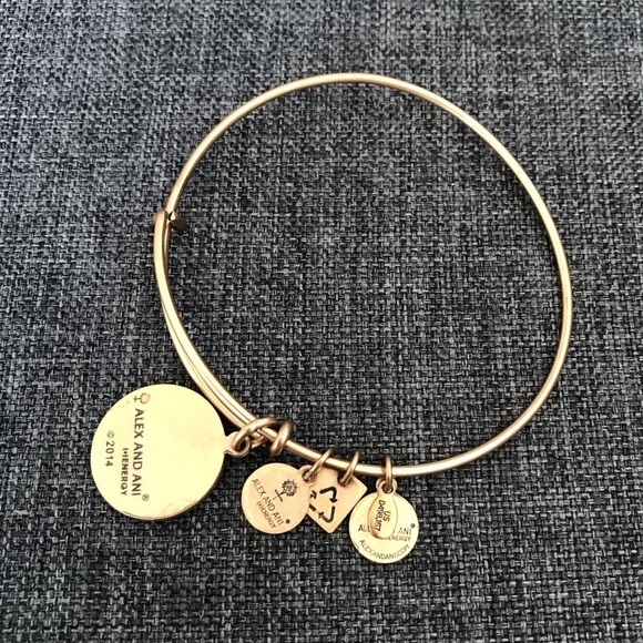 Alex and Ani Earth Charm Bangle Bracelet - Picture 2 of 4
